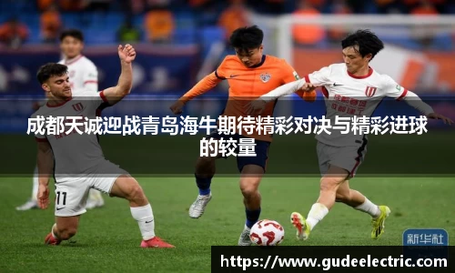 成都天诚迎战青岛海牛期待精彩对决与精彩进球的较量